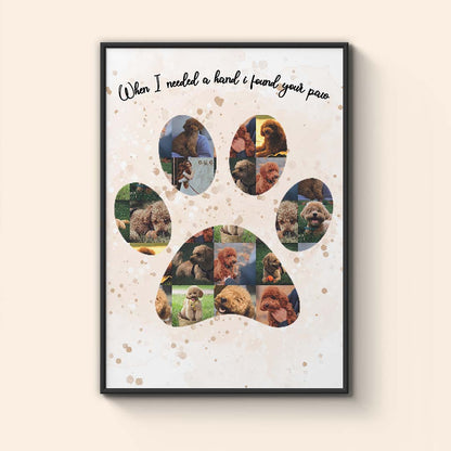 Collage "Dog Paw"